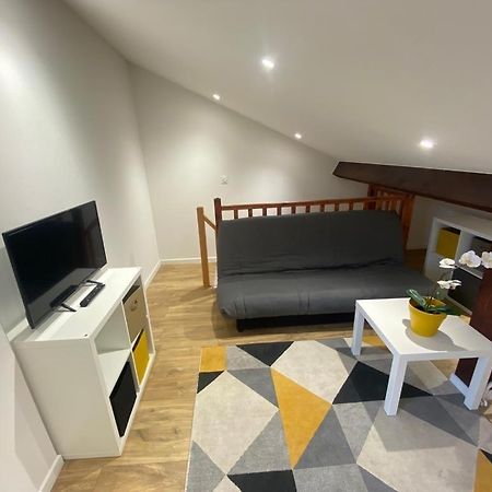 Studio Renove Proche Palais Des Sports Grenoble Eksteriør bilde